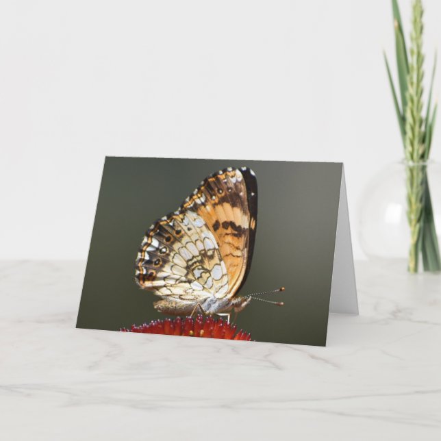 Butterfly, card (Front)
