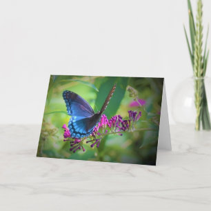 Butterfly, card