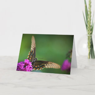 Butterfly, card
