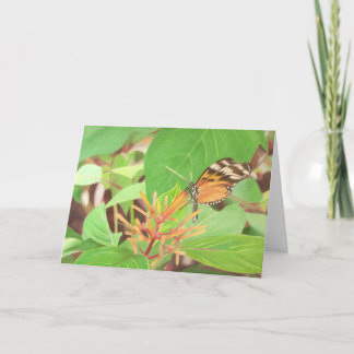 Butterfly Card