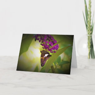 Butterfly, card