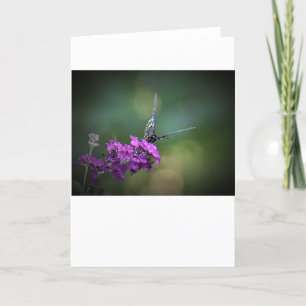 Butterfly, card