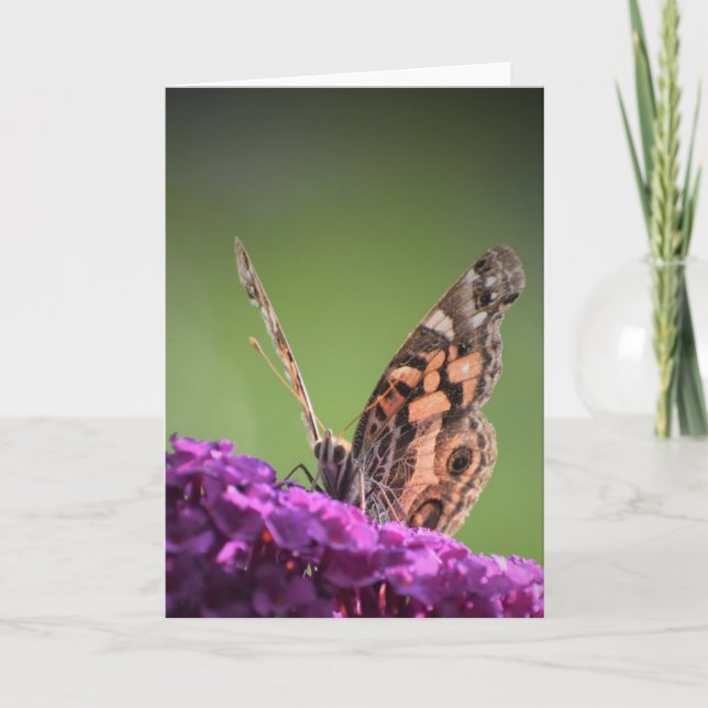 Butterfly, card (Front)