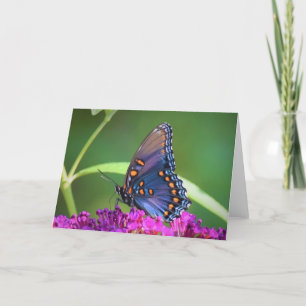 Butterfly, card