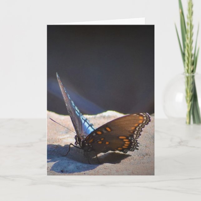 Butterfly, card (Front)