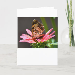 Butterfly, card