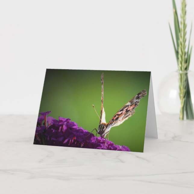 Butterfly, card (Front)