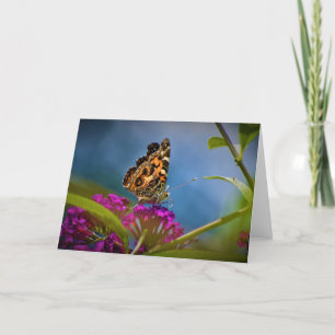 Butterfly, card