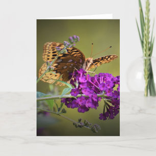 Butterfly, card