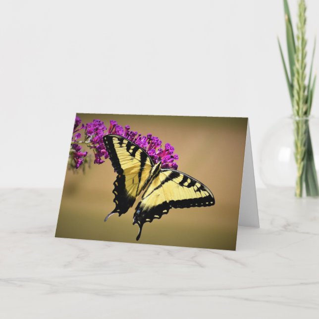 Butterfly, card (Front)