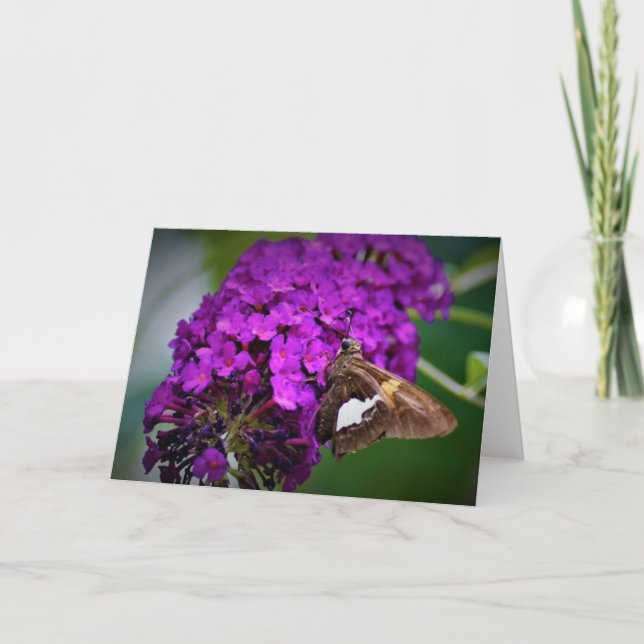 Butterfly, card (Front)