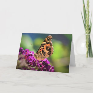 Butterfly, card