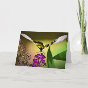 Butterfly, card