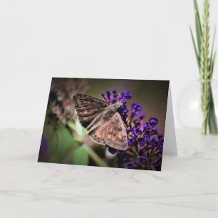 Butterfly, card