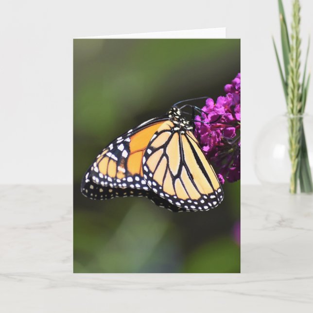 Butterfly, card (Front)