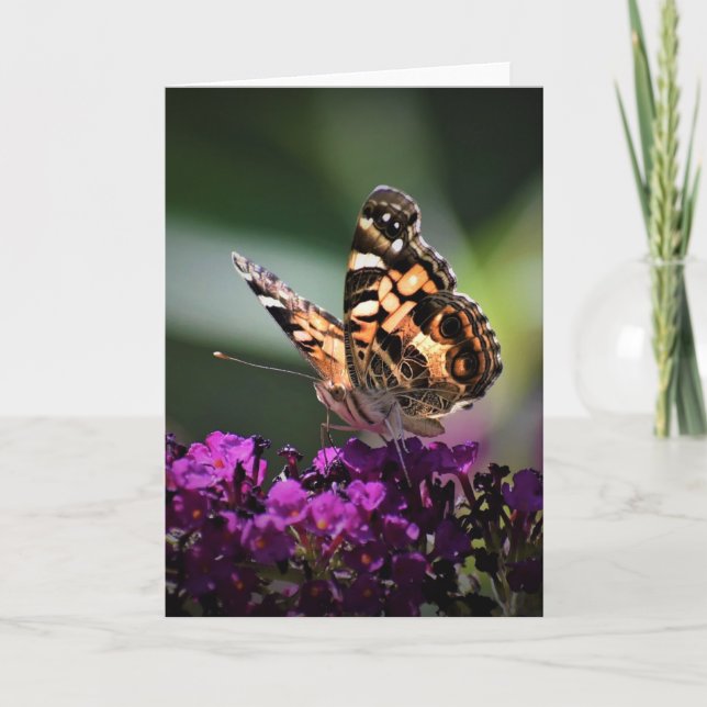 Butterfly, card (Front)