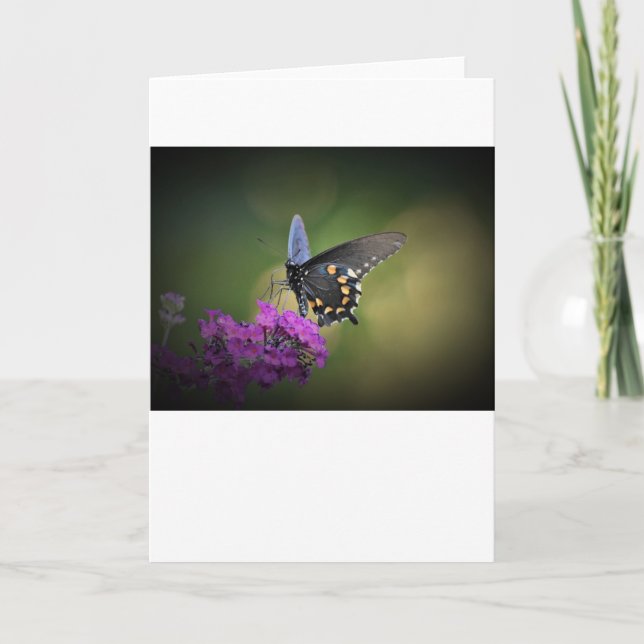 Butterfly, card (Front)
