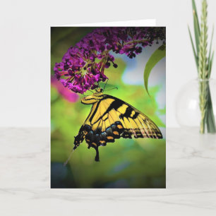Butterfly, card
