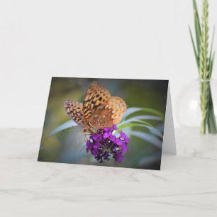 Butterfly, card