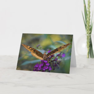 Butterfly, card