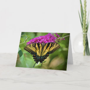 Butterfly, card