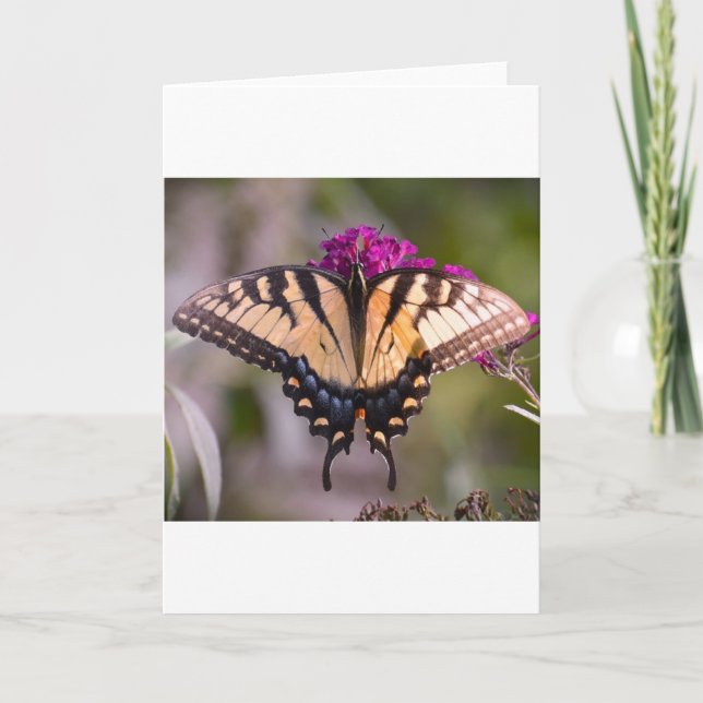 Butterfly, card (Front)