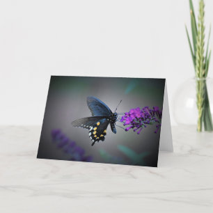 Butterfly, card