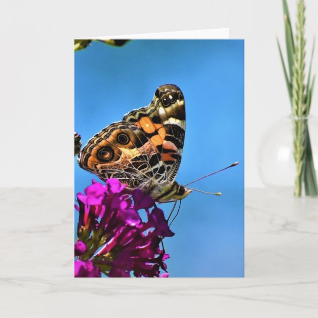 Butterfly, card (Front)