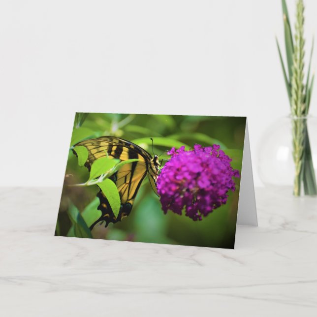 Butterfly, card (Front)