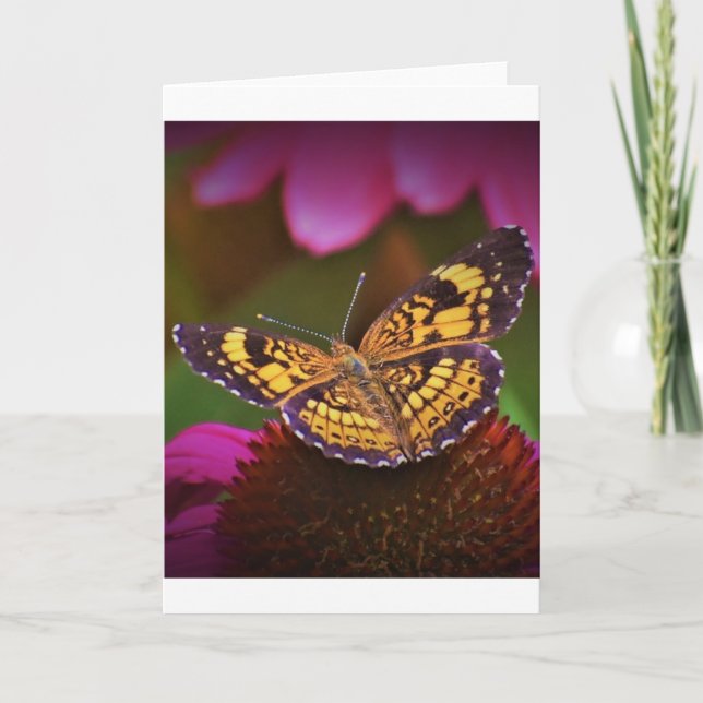 Butterfly, card (Front)