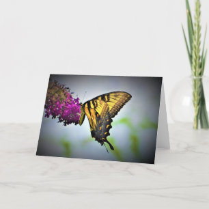 Butterfly, card