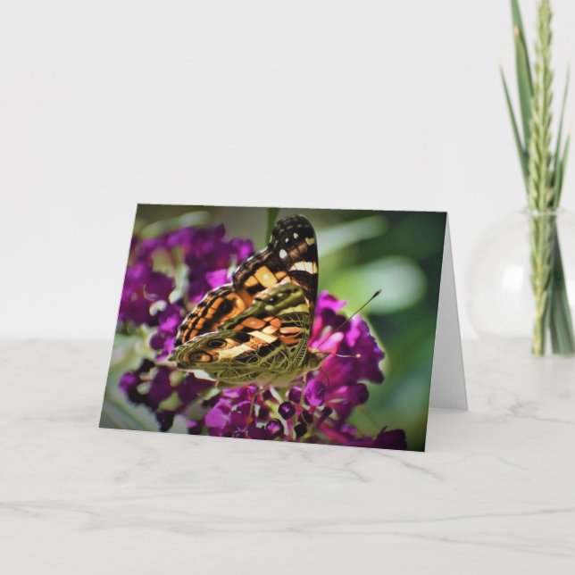 Butterfly, card (Front)