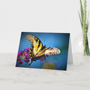 Butterfly, card
