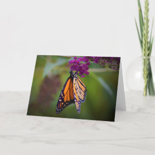 Butterfly, card