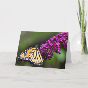 Butterfly, card
