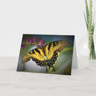 Butterfly, card