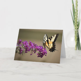 Butterfly, card