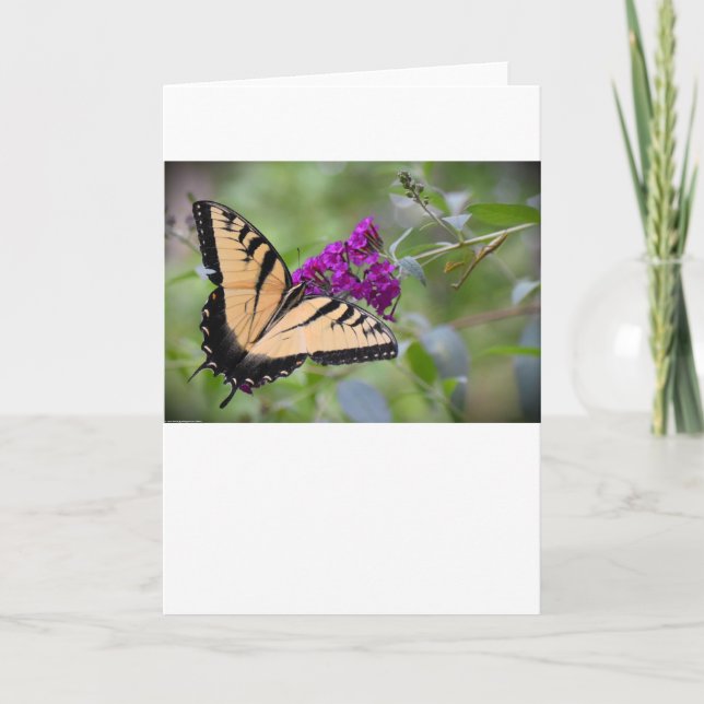 Butterfly, card (Front)
