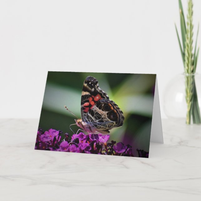 Butterfly, card (Front)
