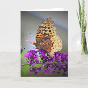 Butterfly, card