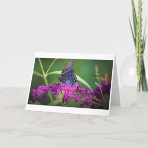 Butterfly, card