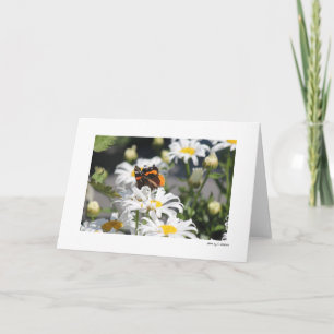 Butterfly Card