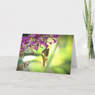 Butterfly, card