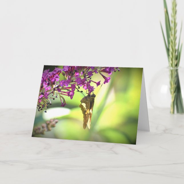 Butterfly, card (Front)