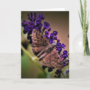Butterfly, card
