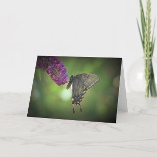 Butterfly, card