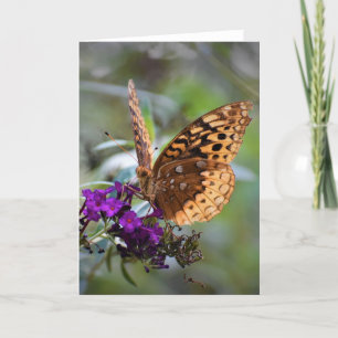 Butterfly, card