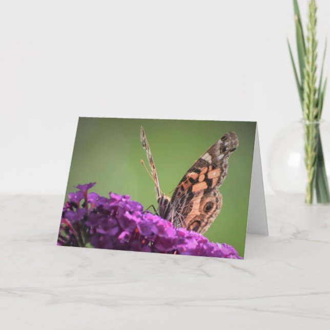 Butterfly, card (Front)