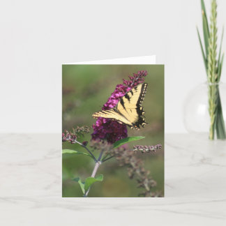 Butterfly Card