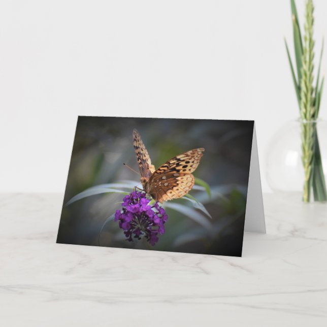 Butterfly, card (Front)